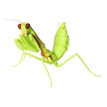 目貫カマキリ 目貫 カマキリ 無銘(ME-030911)｜刀・日本刀の販売なら日本刀